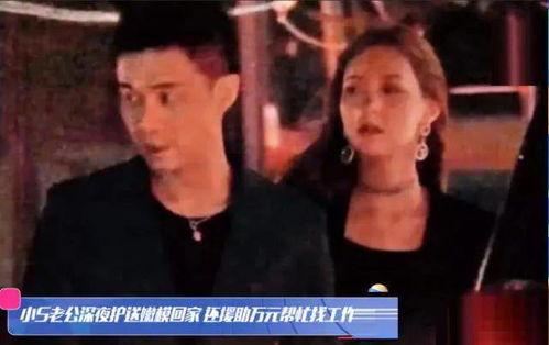 明星出轨类电影图片,揭秘明星出轨背后的真相