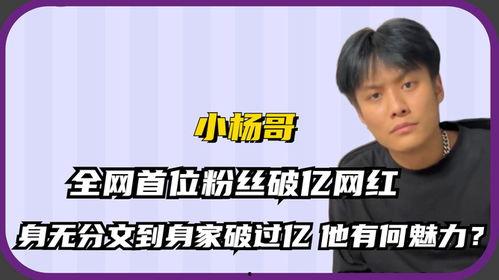 资产过亿网红,揭秘网络红人的财富传奇