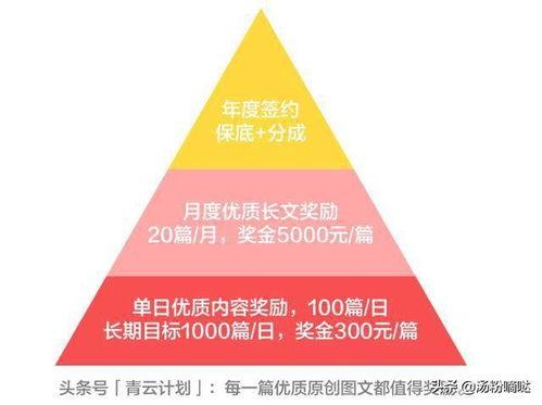 今日头条青云计划培训,揭秘今日头条内容创作与传播之道