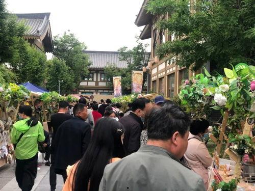龙门网红露天打卡点地址,揭秘这座城市的户外新地标”