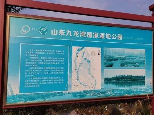 今日头条沙河公园,城市绿肺中的休闲天堂