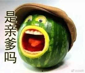 我吃的瓜剩下的瓜,揭秘瓜果的奇妙世界
