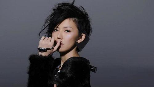 马来西亚华语明星,魅力无限