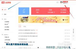 头条如何发全屏文字,轻松实现沉浸式阅读体验