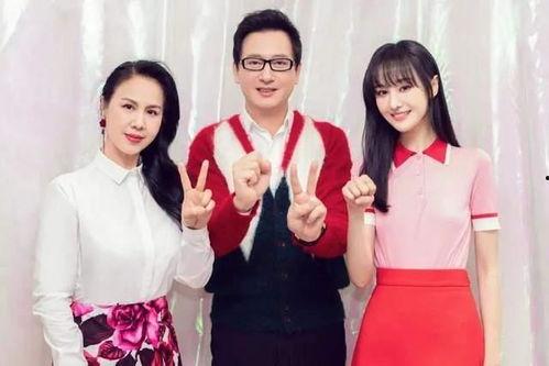 明星关注度 流量