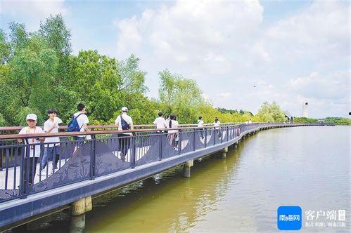 海南国庆网红打卡地点,探寻热带风情新地标