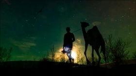 美国网红沙漠骆驼是谁,揭秘美国网红的传奇人生