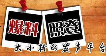 厦门新闻爆料平台,最新动态一网打尽，揭秘城市热点事件