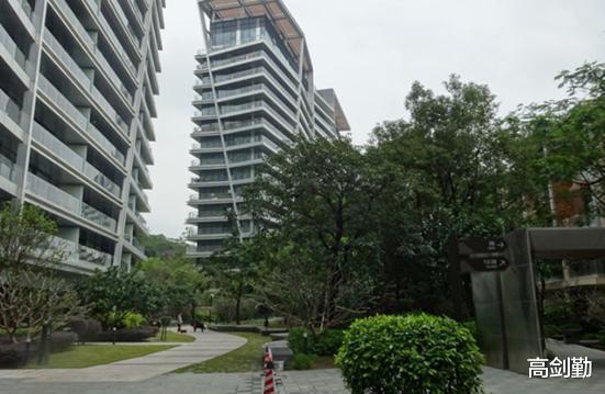 那个明星在深圳,[明星姓名]的璀璨时光回顾”