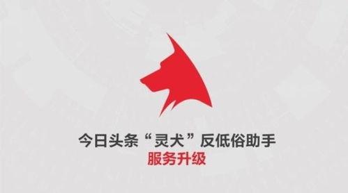 怀乡上今日头条,探寻家乡变迁，共话乡愁记忆