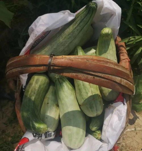 吃瓜带货违法么,揭秘网络现象背后的法律风险