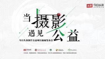 今日头条公益计划申请,共创美好未来——今日头条公益计划全面启动