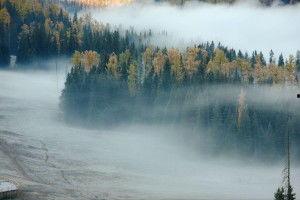 今日头条喀纳斯神仙湾,人间仙境，自然奇观尽收眼底