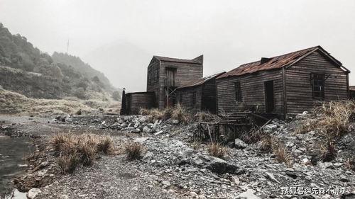 梧田网红拍照地点,探寻这座城市的时尚角落