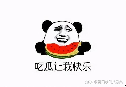 自嘲吃瓜文案搞笑,自嘲吃瓜，笑料连连