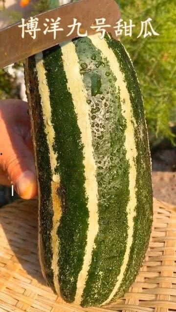 吃瓜吃到吃不过来,吃瓜吃到吃不过来的狂欢时刻