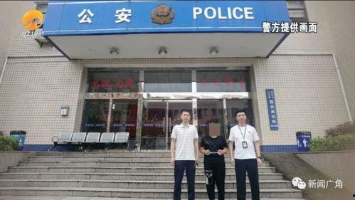 泉州霞美新闻头条,聚焦最新动态，共话发展新篇章