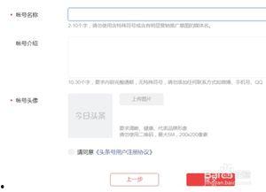 头条自媒体的注册流程,头条自媒体注册流程全解析