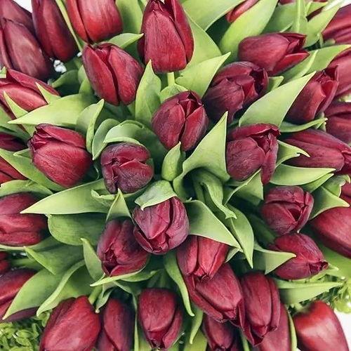 网红跟花头像,探寻花头像中的时尚密码”