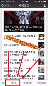 广州徐闻今日头条图文,聚焦民生热点，共话发展新篇