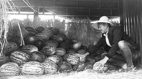 淮安吃瓜群众事件始末,一场网络舆论的风波与反思